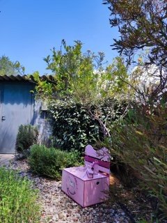 Ολοκληρωμένο πακέτο βάπτισης ''αλογάκι'' - Image 14